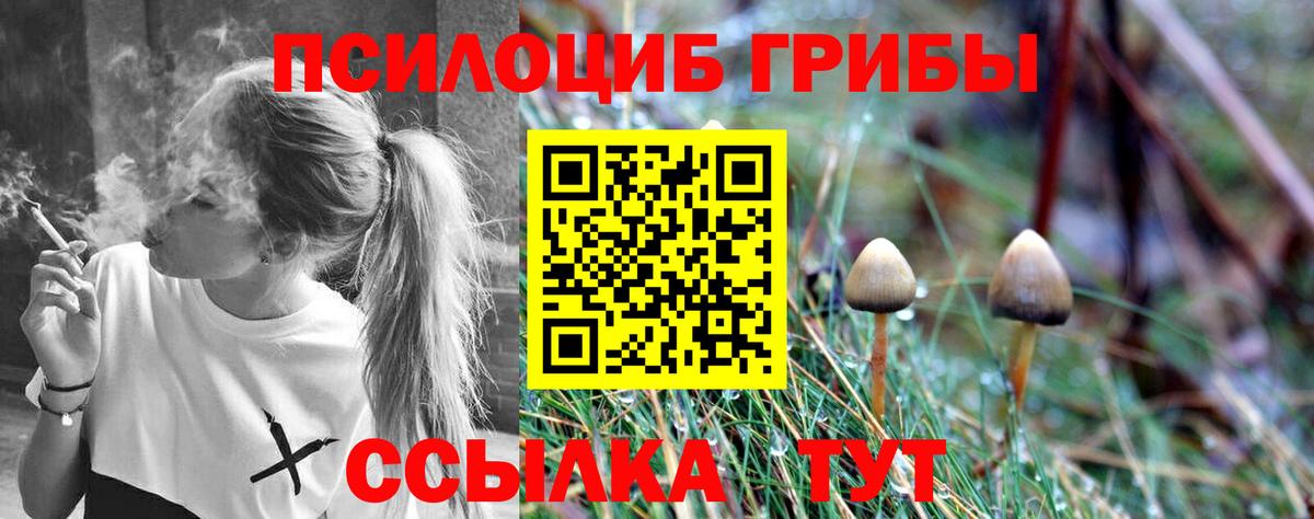 Псилоцибиновые грибы ЛСД Королёв