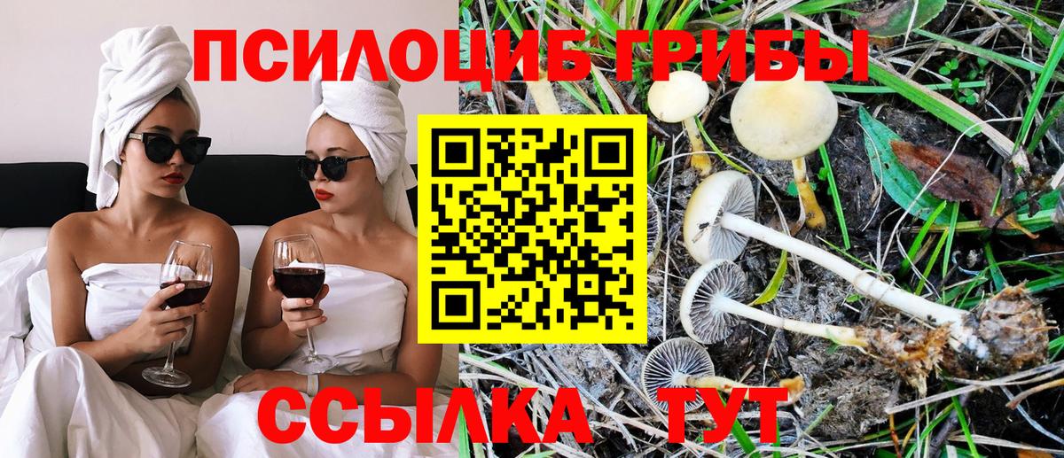 Галлюциногенные грибы Magic Shrooms  Псилоцибиновые грибы MAGIC MUSHROOMS  Королёв  Вход с VPN 